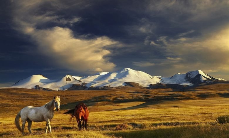 mongolia