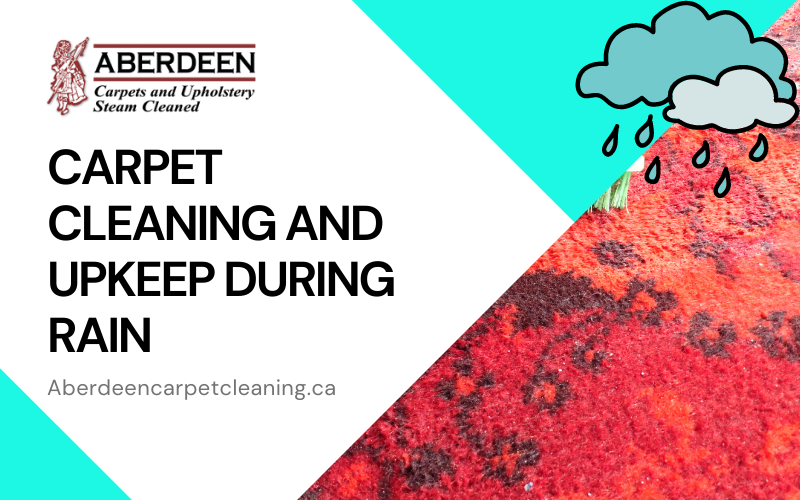 carpet-cleaning-burlington