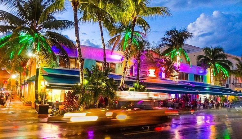 lighted palm trees