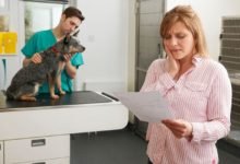 pet health insurance
