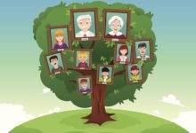 family tree