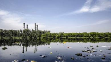 lejeune toxic water