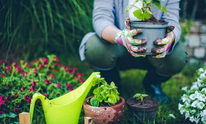 create a more sustainable and environmentally friendly garden