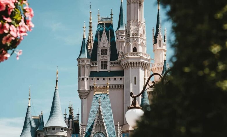 Disney vacation club points