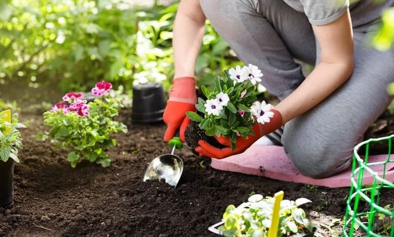 small garden