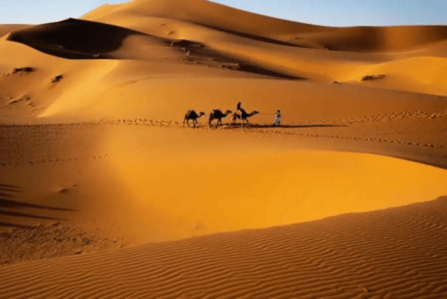 Moroccan desert tours