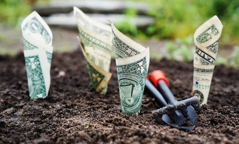 Investing Strategies