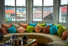windows can revamp your space