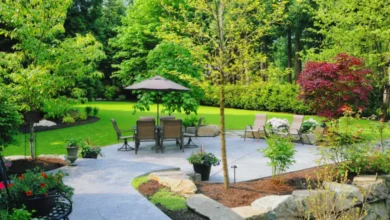 Prep Your Yard for Winter