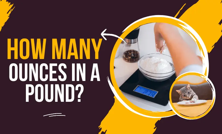 how many ounces in a pound