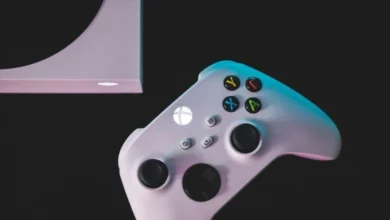 Xbox and PlayStation studio