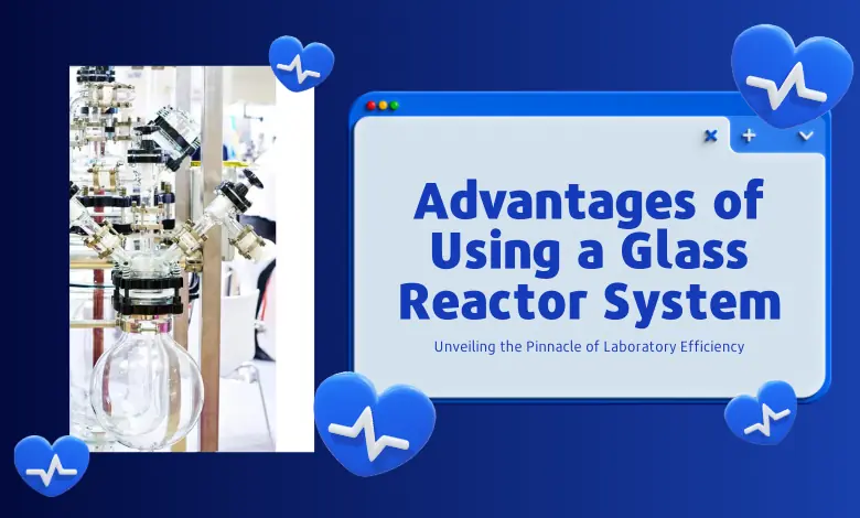 glass reactor system