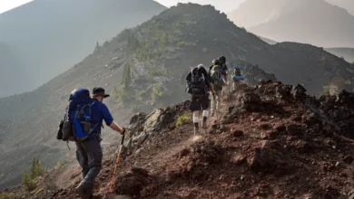 benefits of hiking