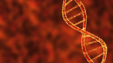 hereditary vs genetic predisposition