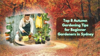 autumn gardening tips