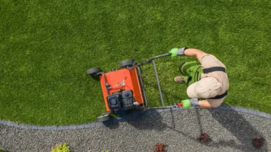 backyard maintenance tools