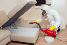 pest-proofing your home