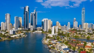 small business to gold coast