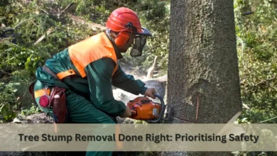 tree stump removal