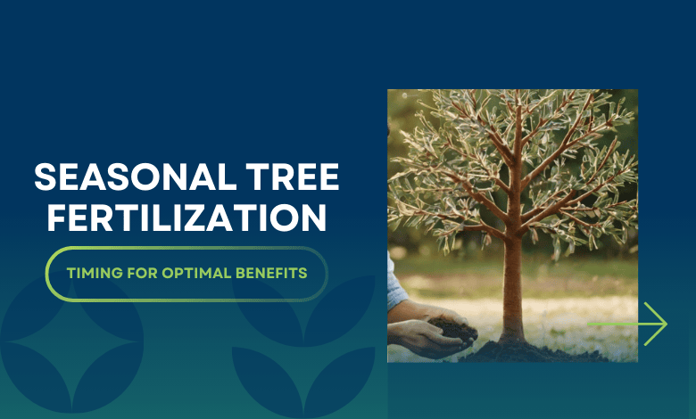 seasonal tree fertilization