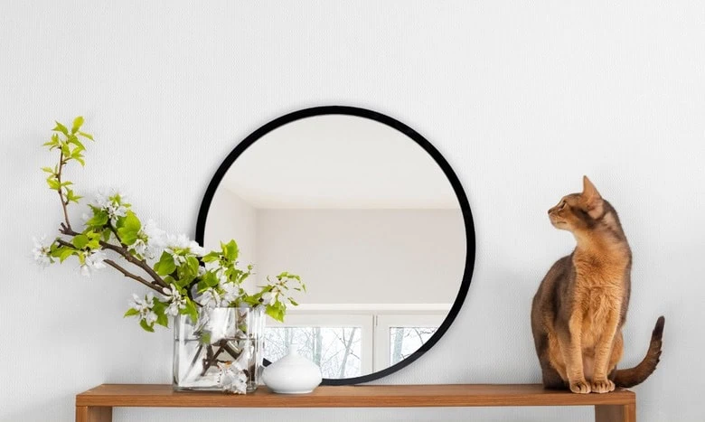 living room decor