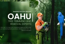 Seasonal Tree Care Tips