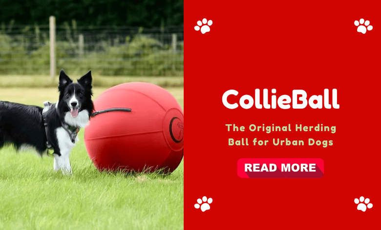 CollieBall