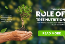 tree nutrition