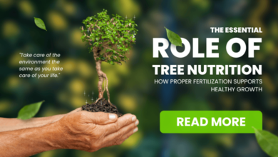 tree nutrition