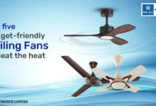 Popular Ceiling Fans