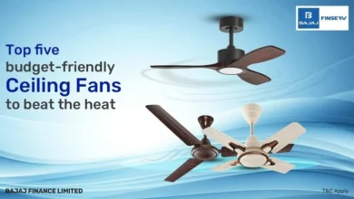 Popular Ceiling Fans