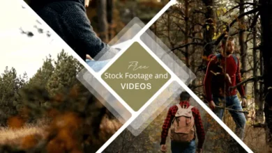 free stock footage and videos
