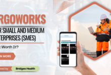 Ergoworks for Small and Medium Enterprises (SMEs)