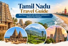 Tamil Nadu tour packages guide