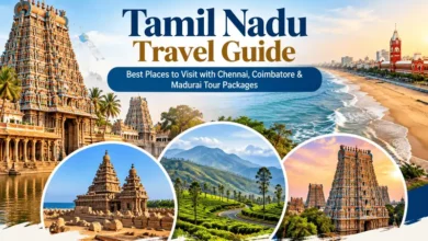 Tamil Nadu tour packages guide